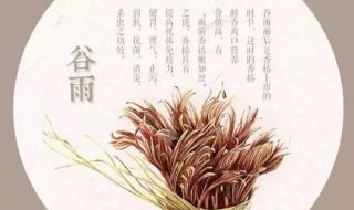 且将新火试新茶下一句