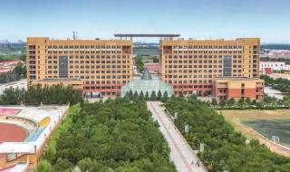 黑龙江科技大学12分钟视频